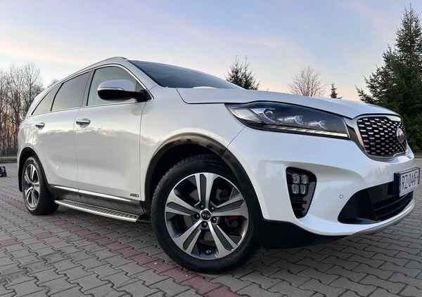 Kia Sorento cena 138000 przebieg: 49900, rok produkcji 2018 z Rzeszów małe 781